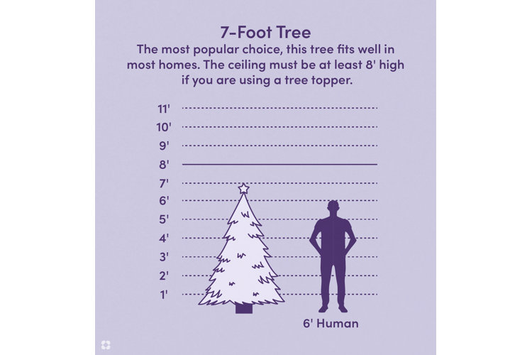 Your Guide to Christmas Tree Sizes Wayfair